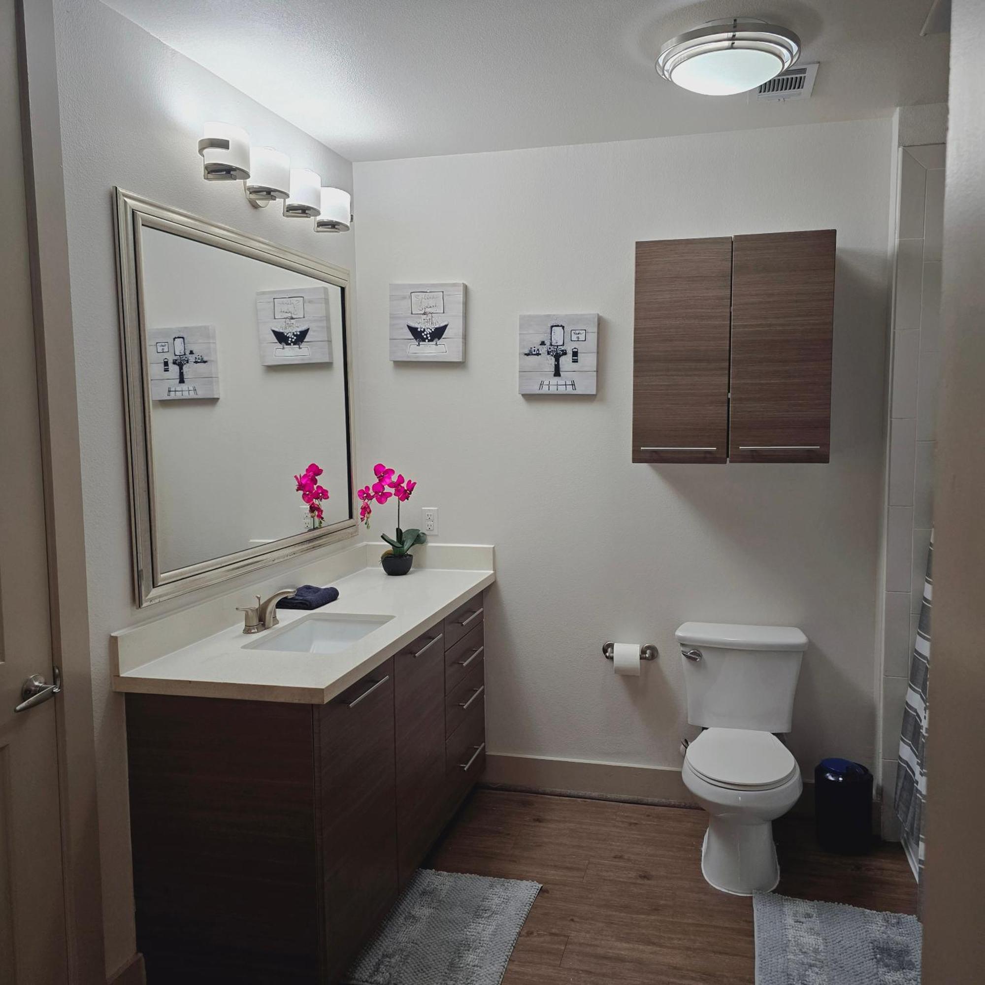 休斯敦Midtown Downtown Breeze公寓 外观 照片